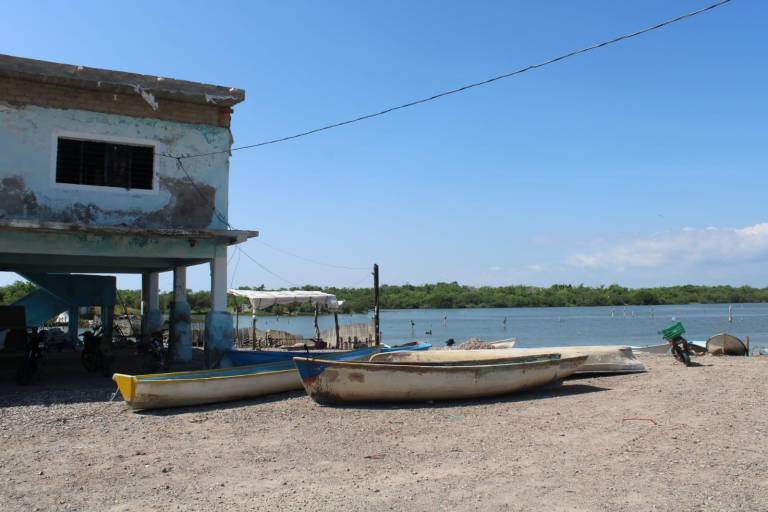 ‘No hay camarón’, el clamor de los pescadores en El Caimanero