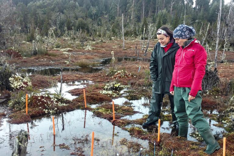 $!Las turberas son uno de los ecosistemas que dependen de las aguas subterráneas.