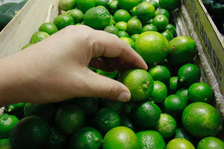 El kilo de limón podría mantenerse entre 70 y 80 pesos hasta abril, afirman en el mercado Garmendia de Culiacán