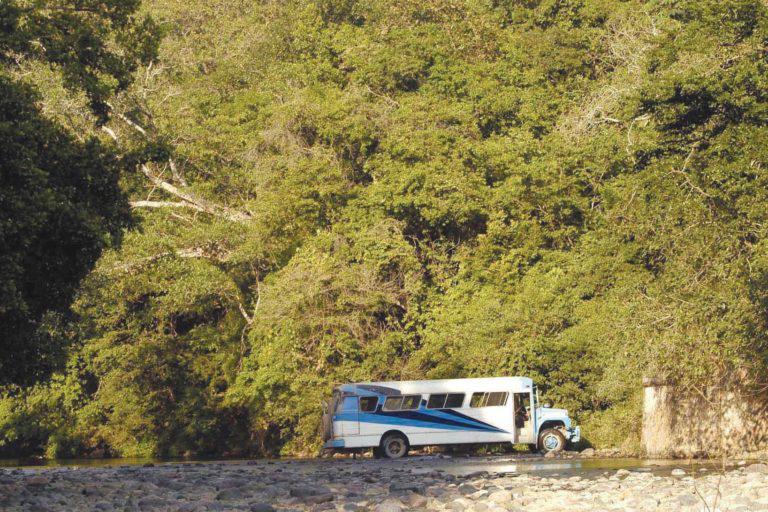 $!Uno de los caminos que se encuentran en la reserva.