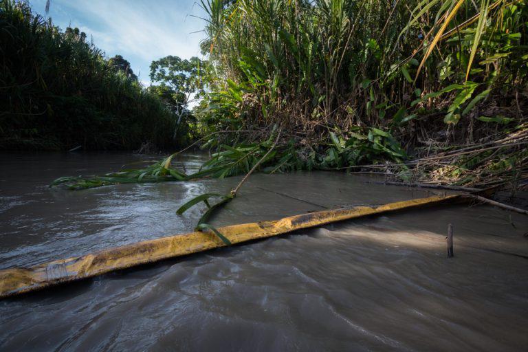 $!La empresa petrolera OCP y Petroecuador han comenzado con labores de limpieza en algunas partes de la rivera del Río Napo. Estas medidas en cambio resultan ineficientes dada la cantidad de petróleo crudo que fue derramado el mes pasado al romperse las tuberías.