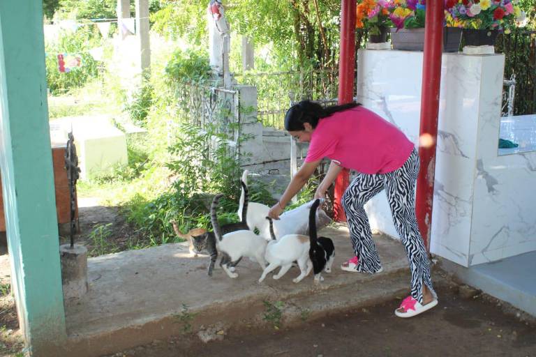 En Rosario, Daniela sigue los pasos de su abuelita para cuidar a los gatos