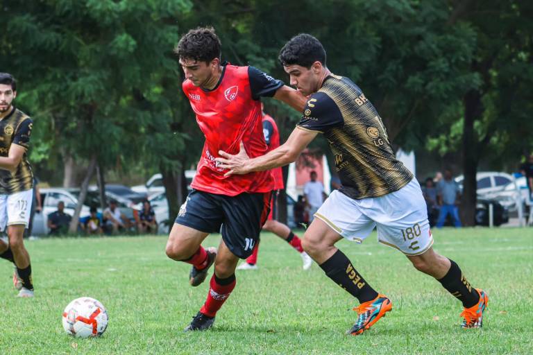 Dorados y FuraMochis cierran el año con buenos números en la TDP