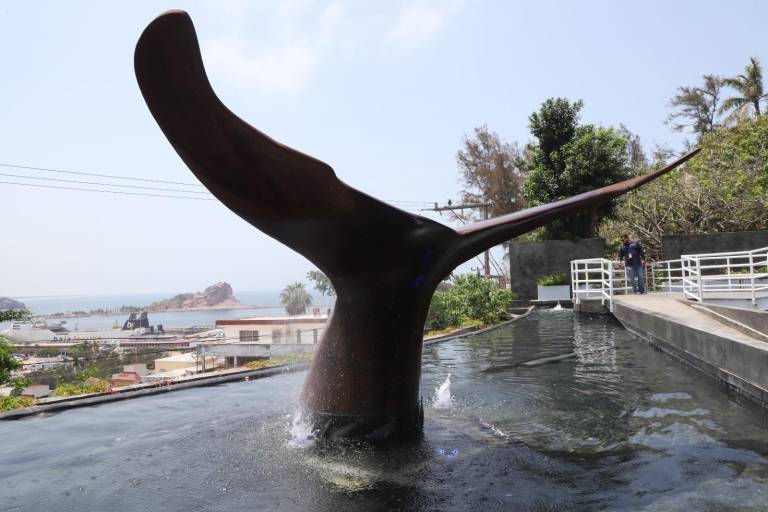 Presentan el Museo Nacional de la Ballena en Mazatlán