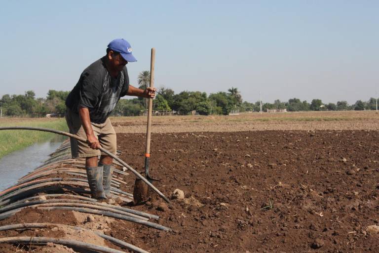 Régimen Simplificado de Confianza afectará a pequeños productores: Caades