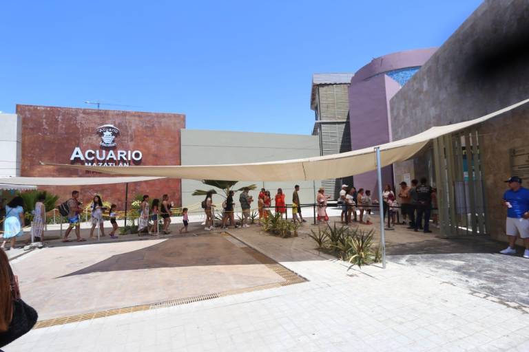 Lobos marinos y Pingüinario quedarán a cargo del Gran Acuario Mazatlán: Alcalde