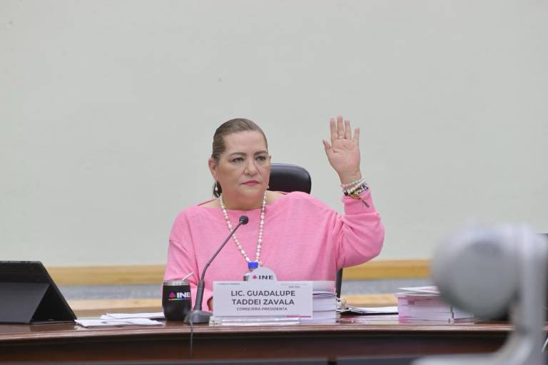 Senado avaló reforma que faculta a Taddei a nombrar cargos en el INE sin aval de consejeros