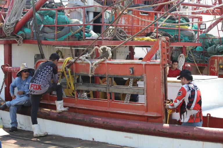 Pescadores alistan embarcaciones camaroneras para el final de la veda
