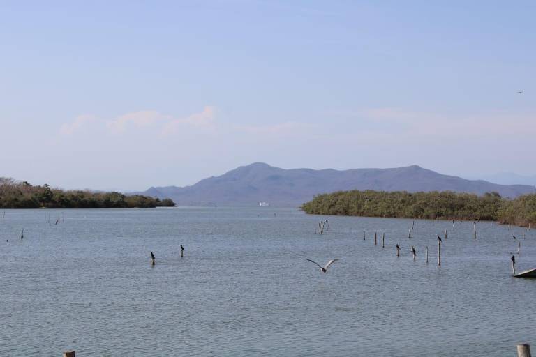 Esperan pescadores de Rosario estudios en sistemas lagunares
