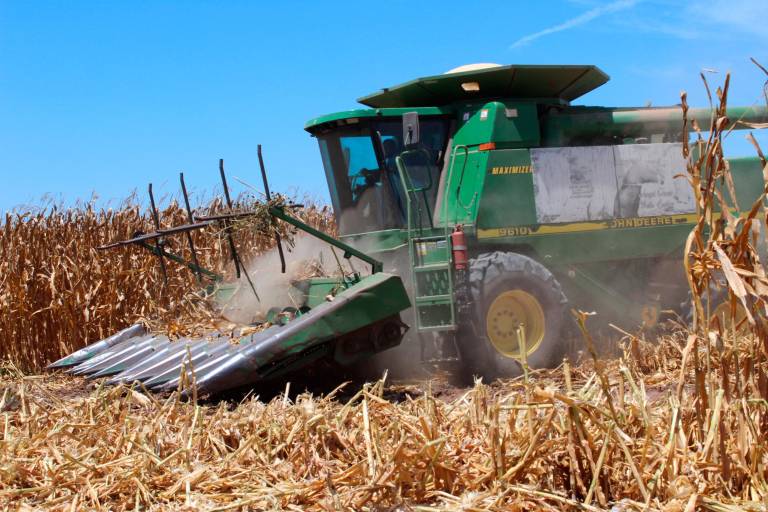 Elevarán fertilizantes costos de producción