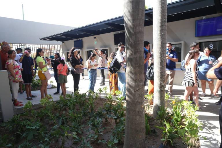Recibe el Gran Acuario Mazatlán Mar de Cortés hasta 6 mil visitantes diarios