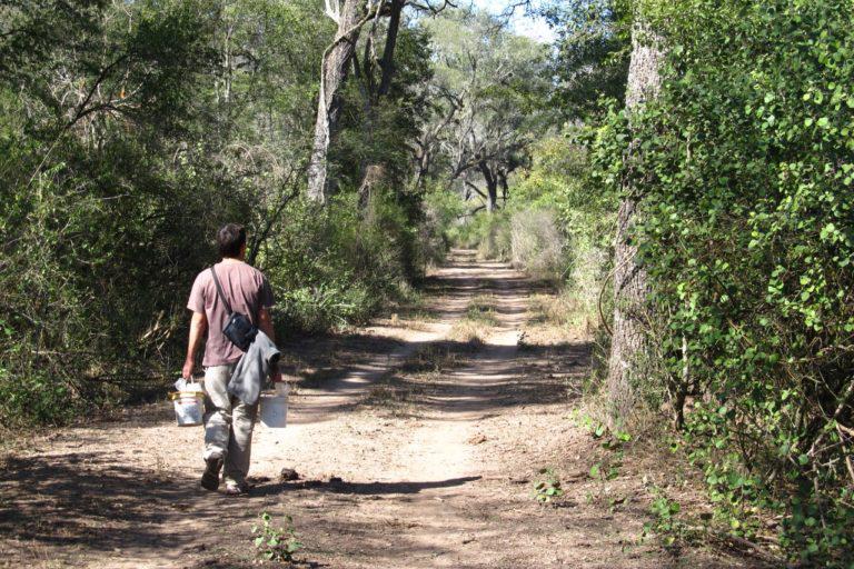 $!El biólogo argentino Matías Mastrangelo participó en el informe IPBES sobre biodiversidad en 2019.