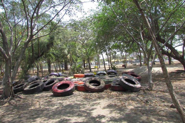 Organización ciudadana pide no ‘mutilar’ el Bosque de la Ciudad para Grupo Nafta