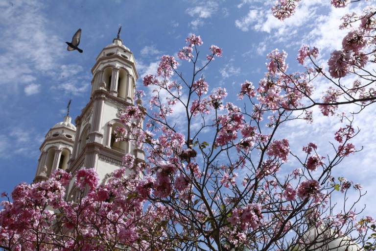 Llenan amapas de color a Culiacán
