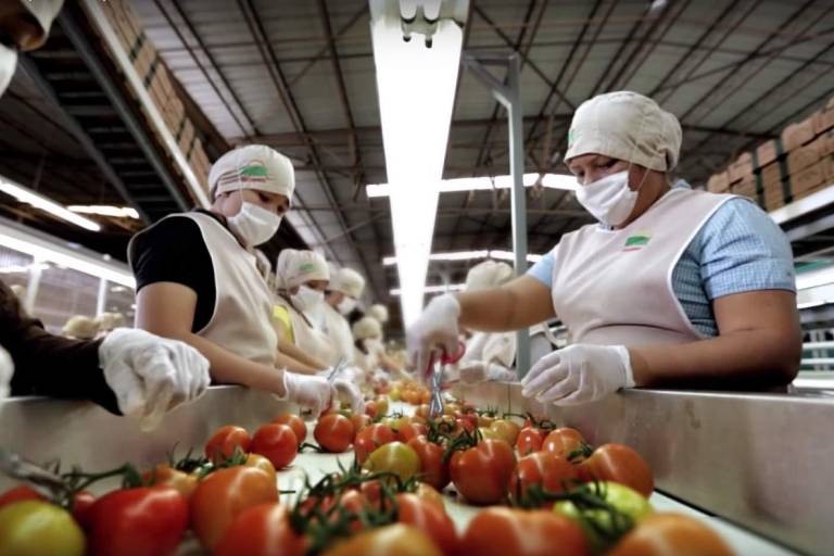Sinaloa, con los mejores indicadores laborales del País