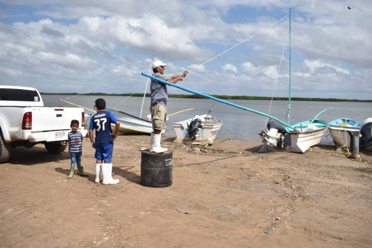 Coepriss impone veda temporal para pesca y consumo de ostiones y almejas