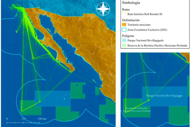 $!Rutas históricas de la embarcación Red Rooster III desde 2012 hasta 2025, trazadas por científicos del CBMC a partir de datos de la plataforma Global Fishing Watch.