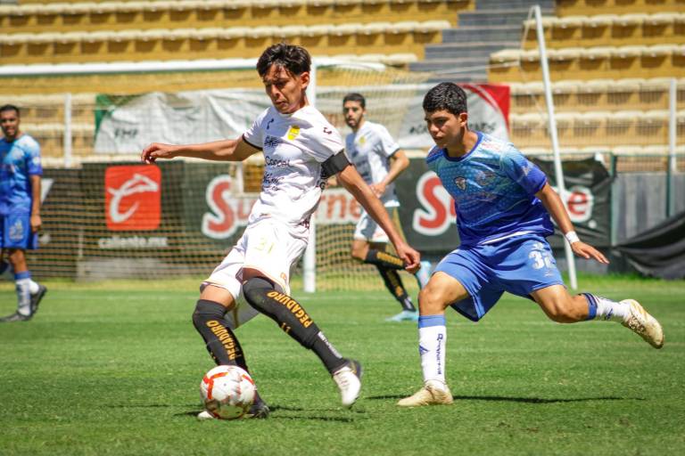Dorados de Sinaloa, listo para la fase final de la TDP