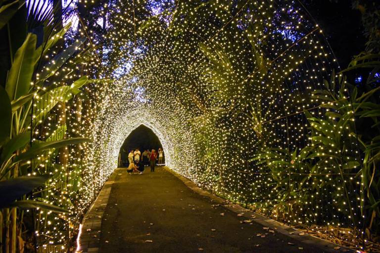 Disfrutan del comienzo de la Navidad en el Jardín Botánico