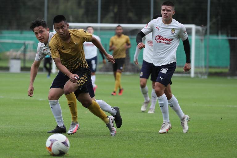 Dorados de Sinaloa arrancará el Apertura 2021 de visita en Tlaxcala