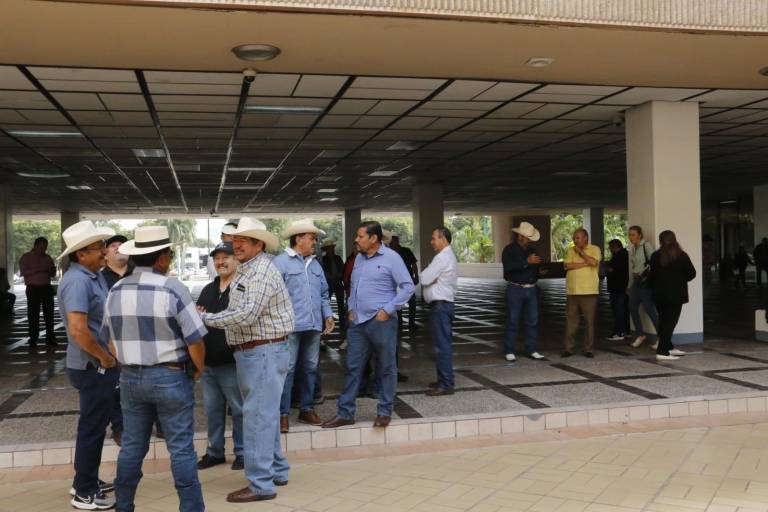 Agricultores de Sinaloa piden al Gobernador precios justos para garbanzo y frijol