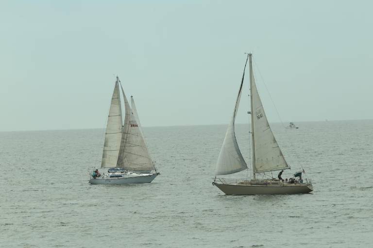 Se estrena este fin de semana en Mazatlán la Regata del Día de la Marina 2022