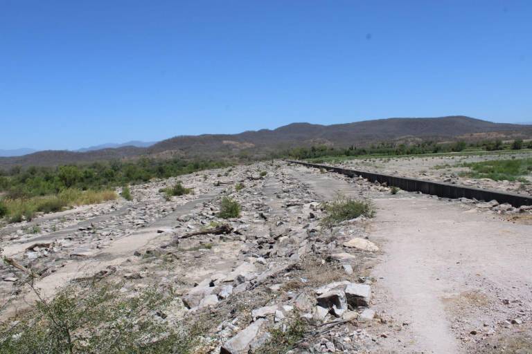 Prevén ganaderos de Sinaloa que primeras afectaciones por estiaje lleguen en el cierre de abril