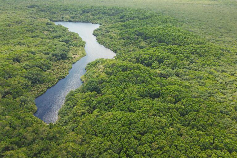 $!Al rescate del Caribe mexicano: proponen leyes para frenar impacto ambiental del avance inmobiliario en Quintana Roo