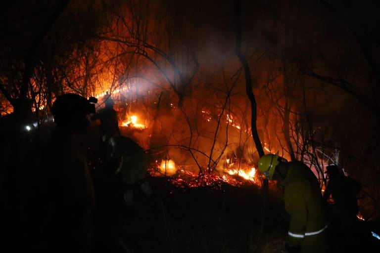 Buscan en Sinaloa reforzar las acciones contra delitos ambientales
