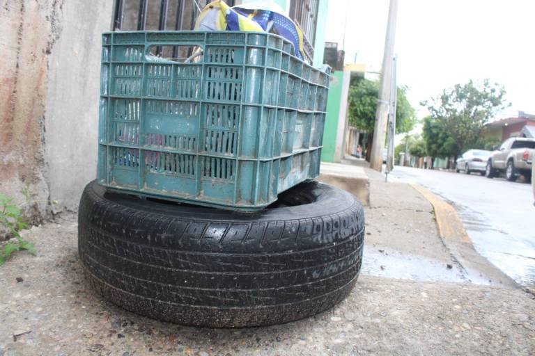 Niega Salud disminución de medidas de combate contra el mosquito del dengue en el sur
