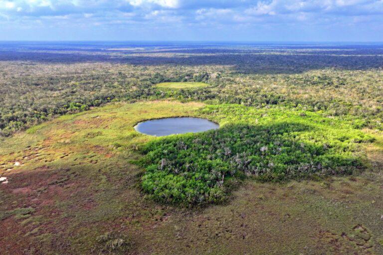 $!El Área de Protección de Flora y Fauna Felipe Carrillo Puerto fue declarada como tal en 2024.
