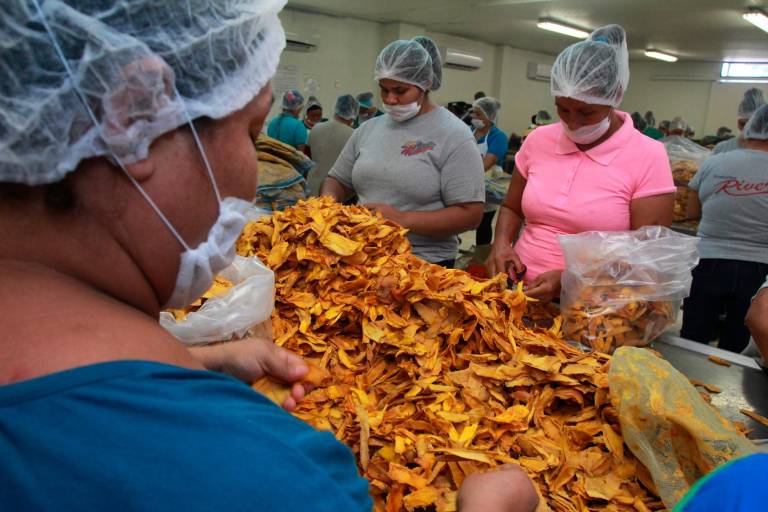 Oportunidades en el comercio de frutales con EE.UU.