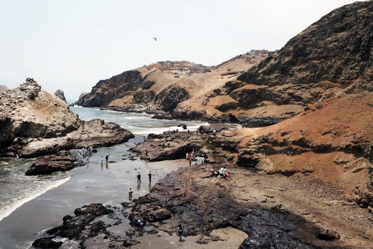 Padece mar de Perú desastre ecológico
