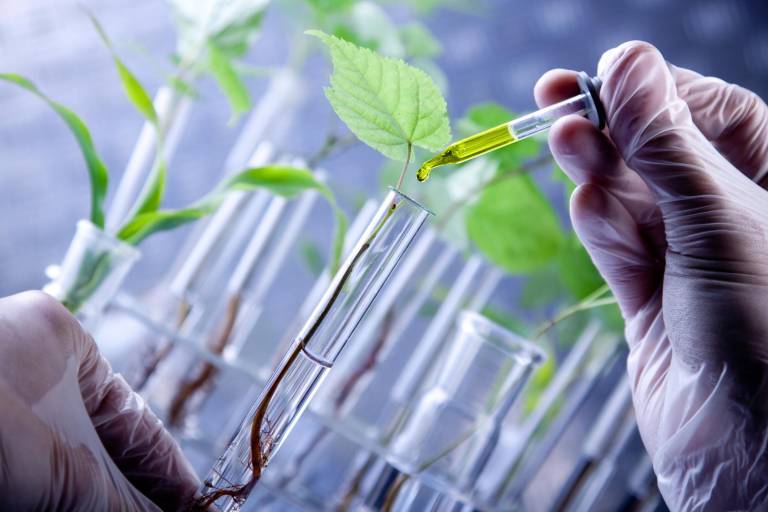 Con la bioeconomía, el estado contribuiría a elevar su PIB industrial, revela análisis del Codesin