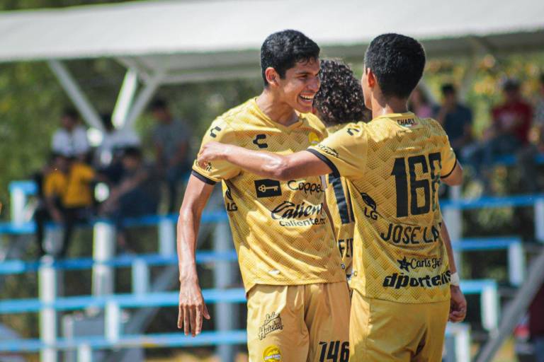 Dorados de Sinaloa golea en casa a Puerto Vallarta