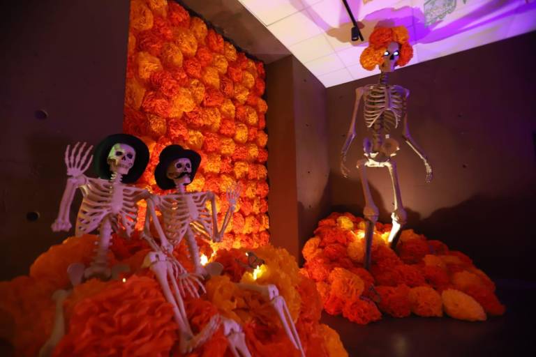 Entre cempasúchil, velas y una imponente calavera, Gran Acuario sorprende a sus visitantes