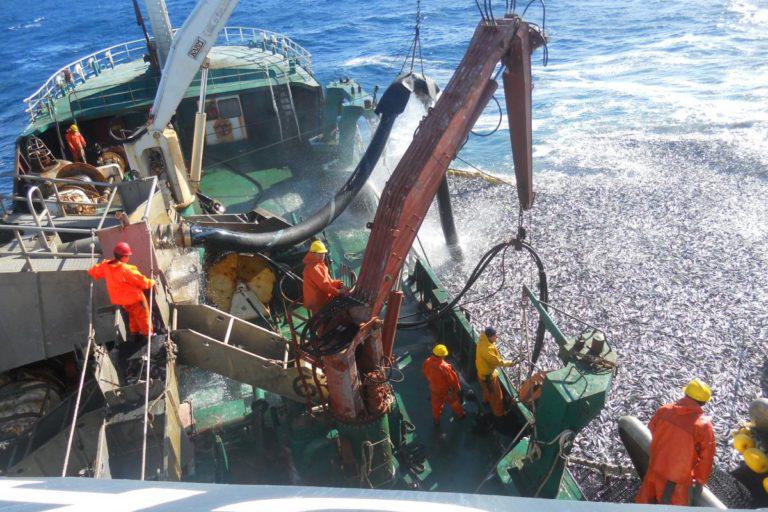 $!Los desafíos ambientales para salvar los océanos de Latinoamérica en 2022