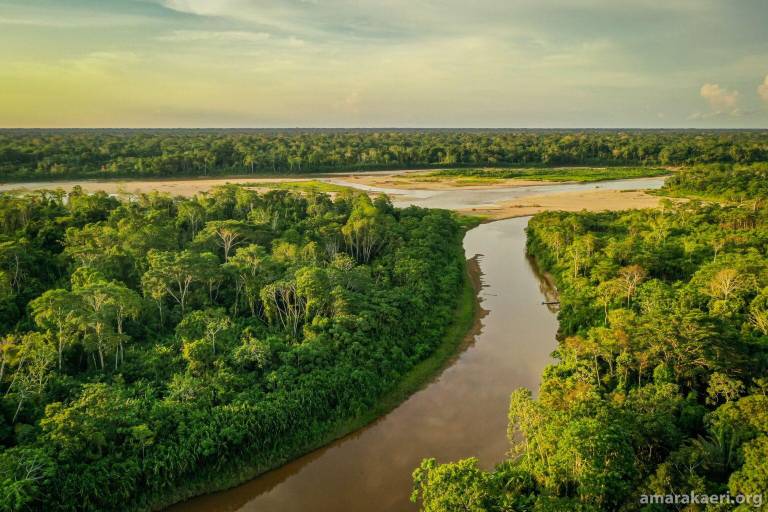 COP16: Proteger el 30% del planeta no es solo un tema de cantidad sino de calidad