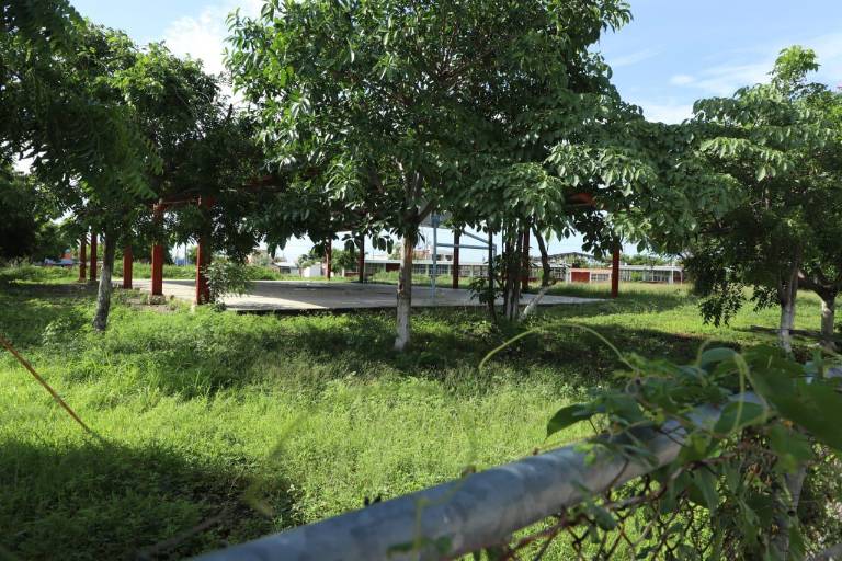 SNTE 53 insiste en que no hay en Sinaloa condiciones para clases presenciales