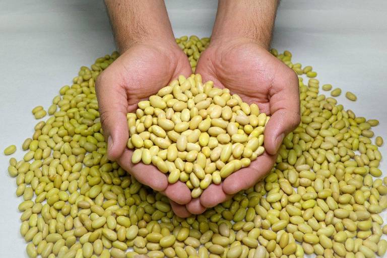 Medidas contra la inflación podrían impactar a la agricultura
