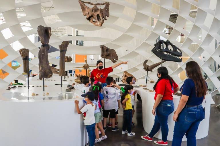 Viven una gran aventura científica en el Verano CienCiaSional 2022