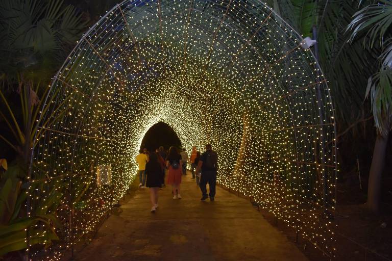 Encienden las luces y llega la magia de la Navidad al Botánico