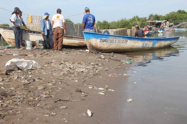 Levantan veda en bahías y esteros en Nayarit; en los del sur de Sinaloa hasta el día 25 de este mes