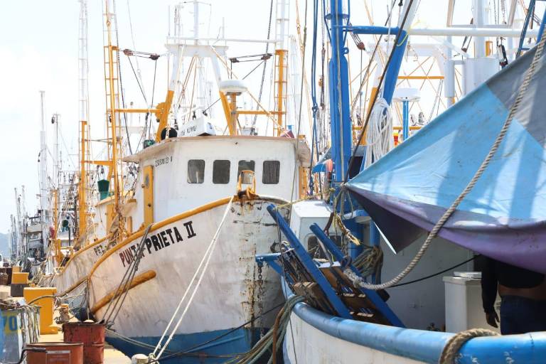 Casi listos, los barcos del Parque Bonfil que saldrán a altamar desde Mazatlán el 21 de septiembre