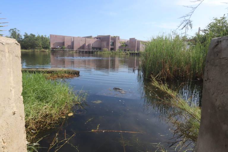 Denuncian ahora contaminación de aceites en la Laguna del Camarón, en Mazatlán
