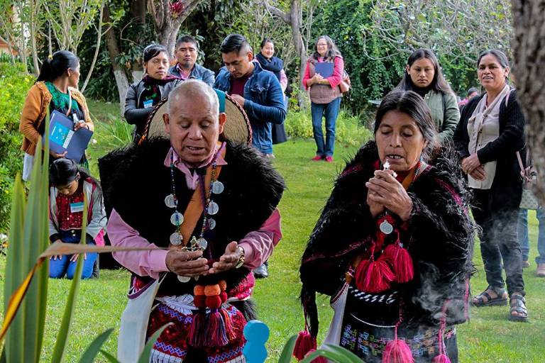 Chiapas. La revolución de las patronas del agua