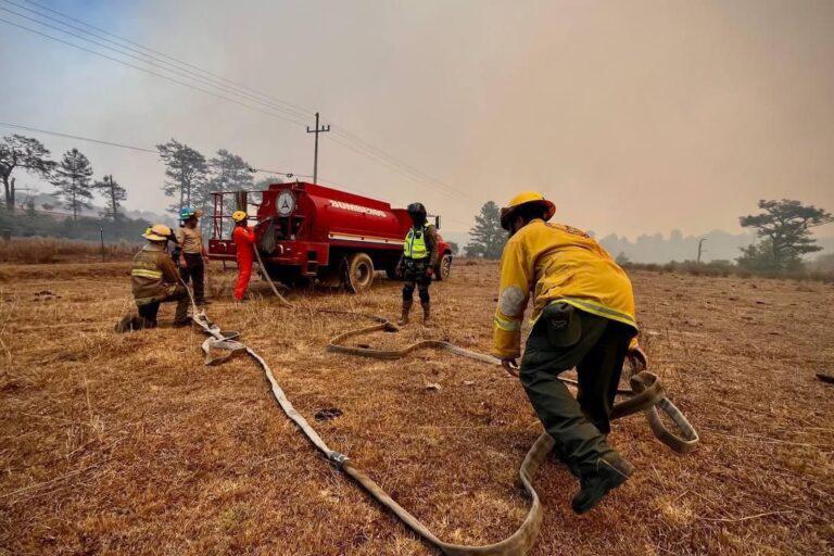 $!México entra en la lista de los 10 países con mayor pérdida de bosques primarios en el mundo durante 2024
