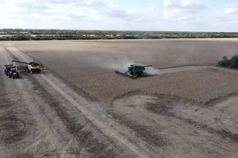$!Casi todo el centro del continente —la Amazonía, el Cerrado, la Chiquitania o el Chaco— está abocado a la misma actividad económica: exportar materias primas, principalmente granos y carnes para Asia y Europa.