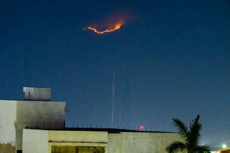 Bosques cerca de la presa Sanalona ardieron por ocho días; 60 hectáreas están afectadas