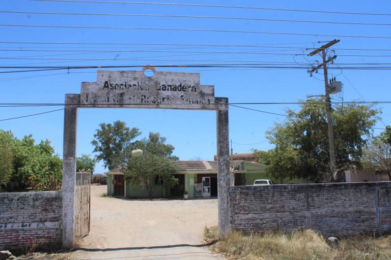 Sequía e impuestos tienen ‘asfixiada’ a Asociación Ganadera Local en Rosario, dicen